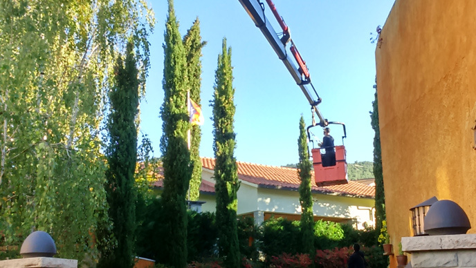 Servicios de jardinería, poda de arbustos de gran altura, limpieza de parcelas y bosques.